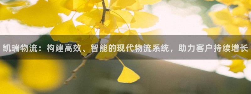 超凡国际连输10天：凯瑞物流：构建高