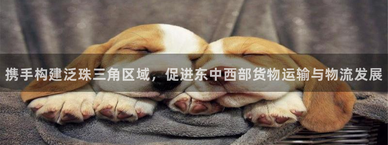 超凡国际官网入口：携手构建泛珠三角区