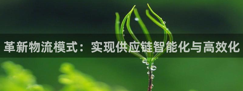 超凡国际官方官网版：革新物流模式：实