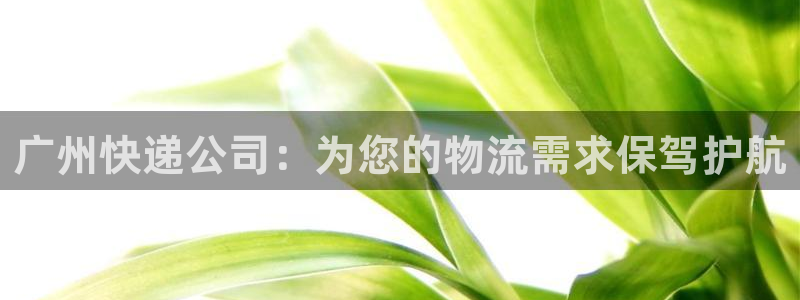 超凡国际注册登录链接流程：广州快递公