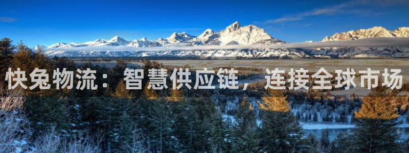 超凡国际分分压单双技巧：快兔物流：智慧供应链，连接全球市场