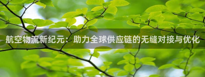 超凡国际链接来一个：航空物流新纪元：