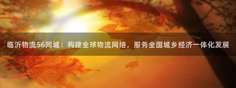 麻将1超凡国际：临沂物流56同城：构