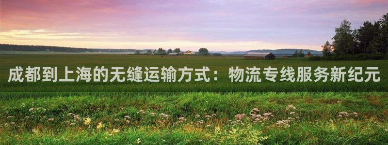 超凡国际登录流程：成都到上海的无缝运