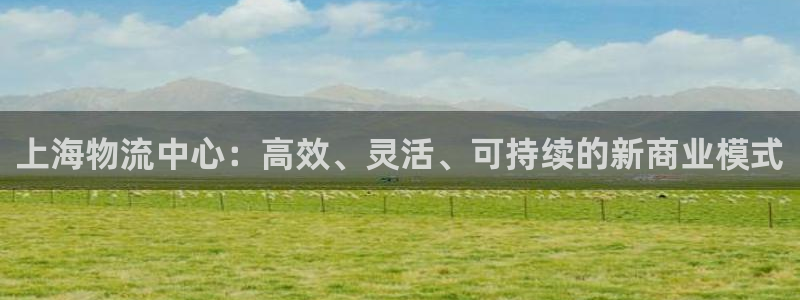 超凡国际取保:上海物流中心:高效、灵