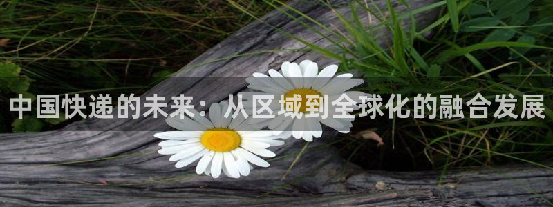 超凡国际注册登录链接：中国快递的未来