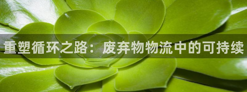 超凡国际下载二维码：重塑循环之路：废