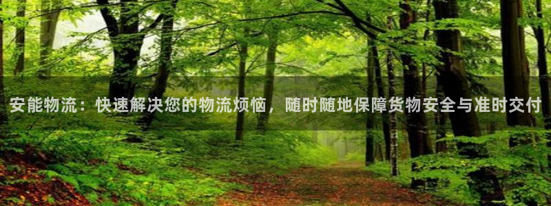 超凡国际是正规软件吗：安能物流：快速