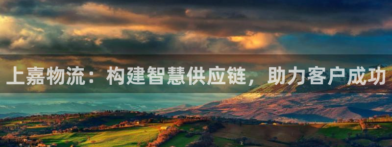 超凡国际注册链接教程：上嘉物流：构建