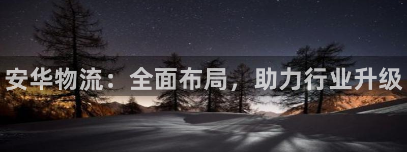 超凡国际如何注销账号:安华物流:全面