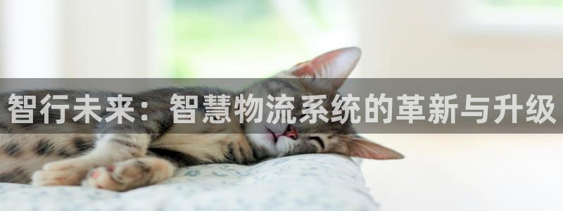 超凡国际官网版所有版本