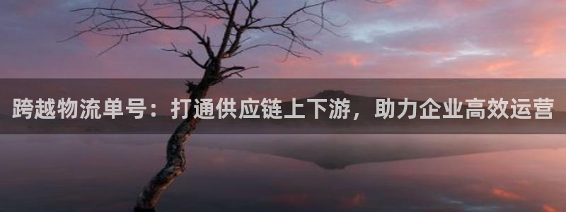 南宫超凡国际怎么注册:跨越物流单号: