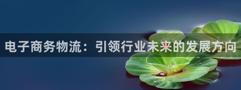 超凡国际旗下：电子商务物流：引领行业